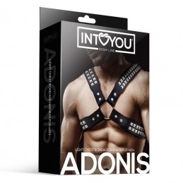 Votre Loveshop à Chartres 28 Jadelingerie-Chartres Adonis Chest