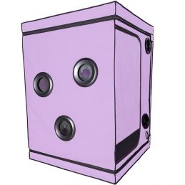 Kink Club Cabine Scandale