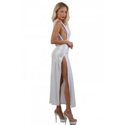Robe Longue Irisé Large Décolleté Dos Nu